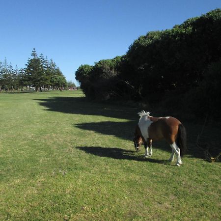 Monday Seaside Cottage Whanganui Ngoại thất bức ảnh