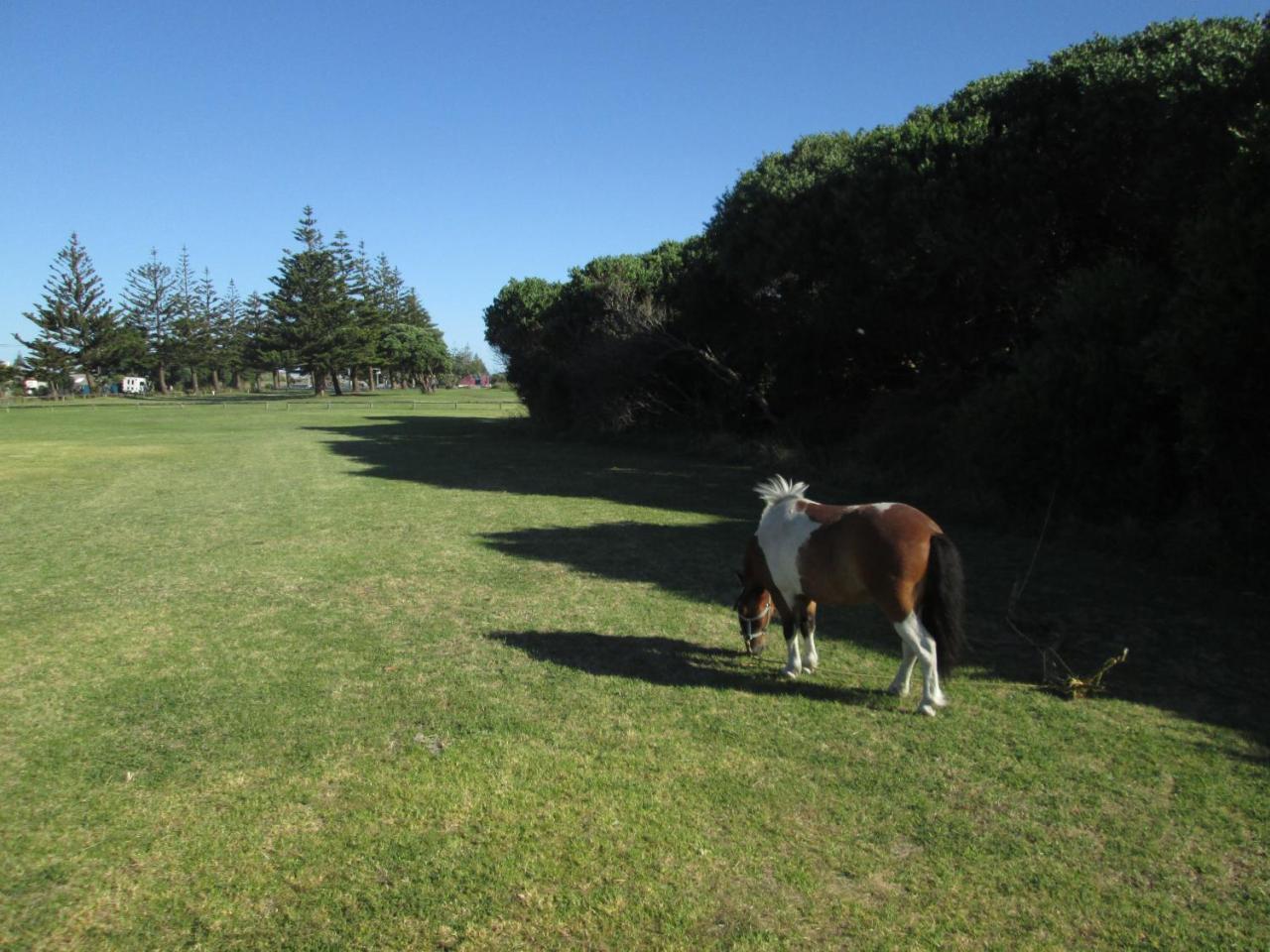 Monday Seaside Cottage Whanganui Ngoại thất bức ảnh